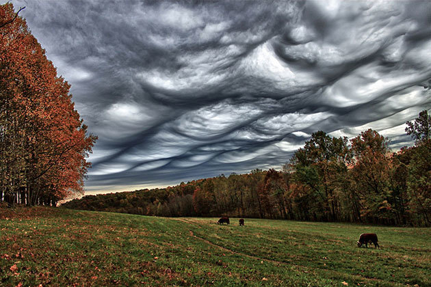 Asperitas Undulatus - Clouds, Longpost, Article, , Surroundings, Interesting