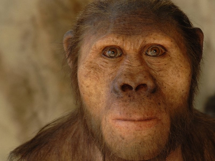 Prehistoric people who lived millions of years ago - My, humanoid, Ancestors, Monkey, Biology, Longpost