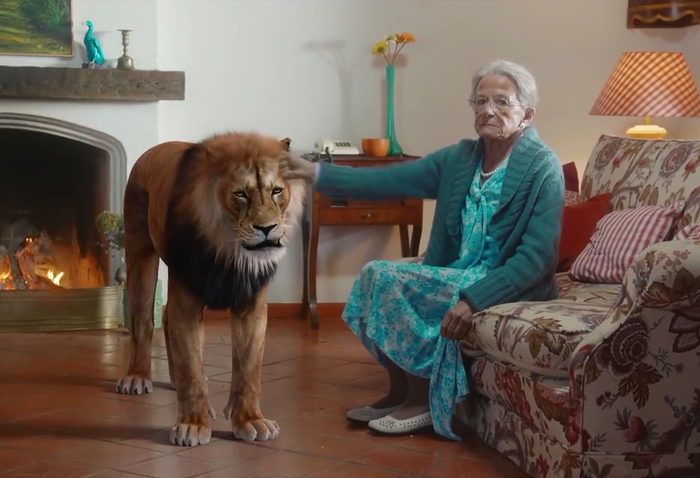    &quot;Hakuna Matata&quot;  