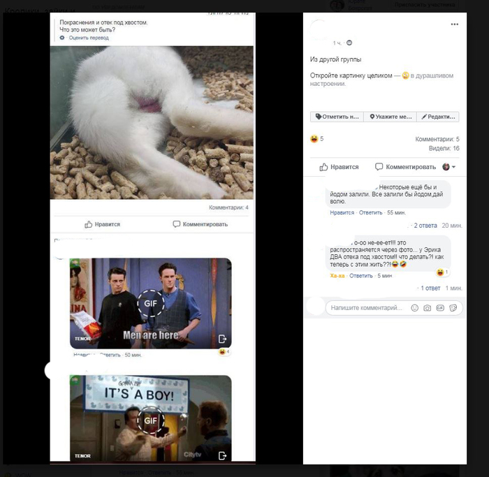 Что же это может быть... действительно