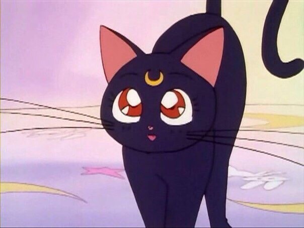 miu miu - Anime, Sailor Moon, cat, Kittens, Milota, beauty, My totem animal, Like