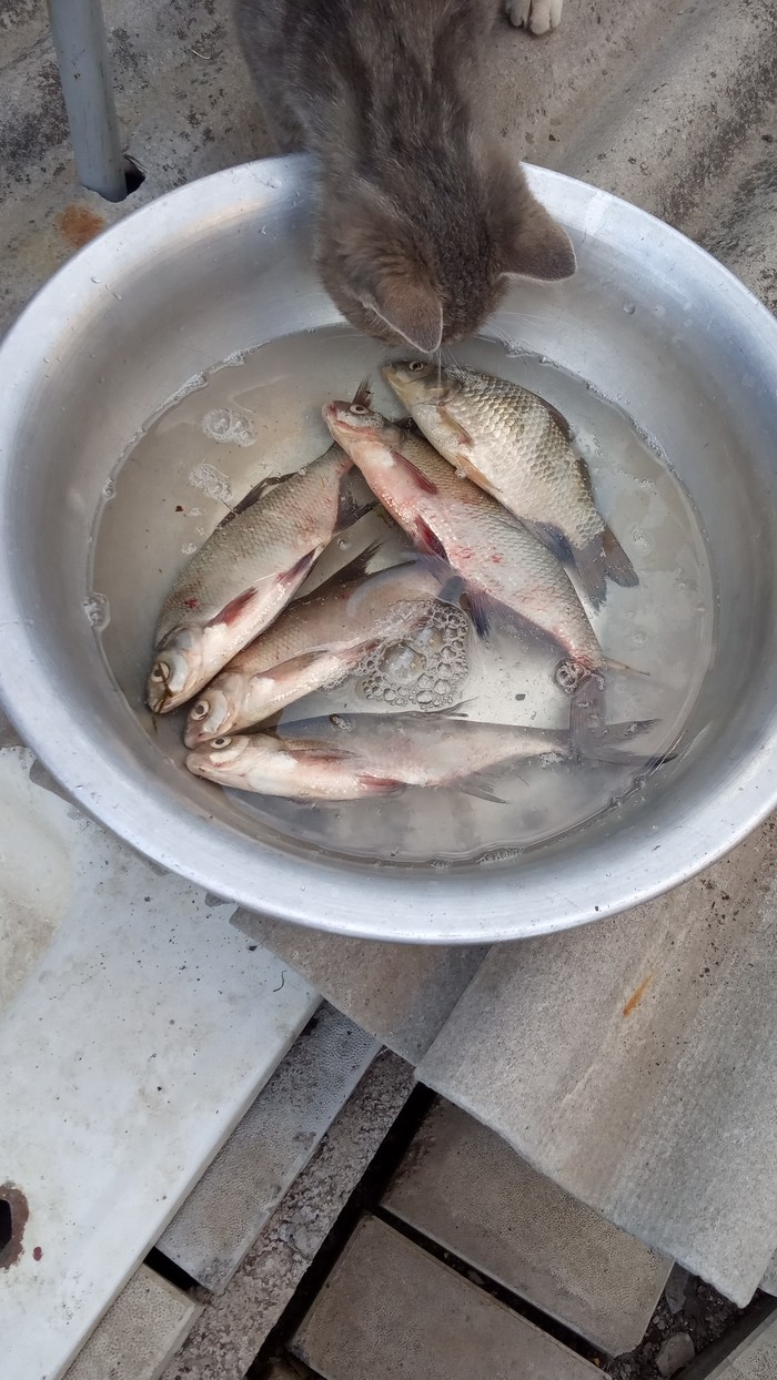 Это все мне?