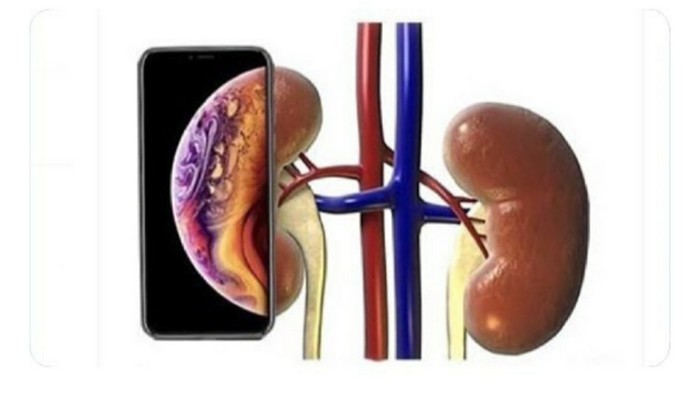 ������ ���� �� Apple