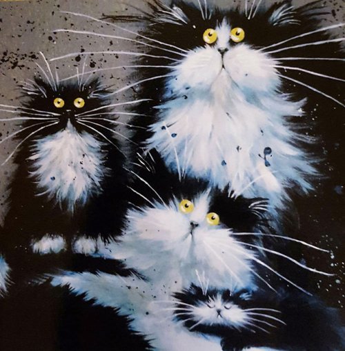 Funny cats Kim Haskins. - cat, Drawing, Positive, Longpost