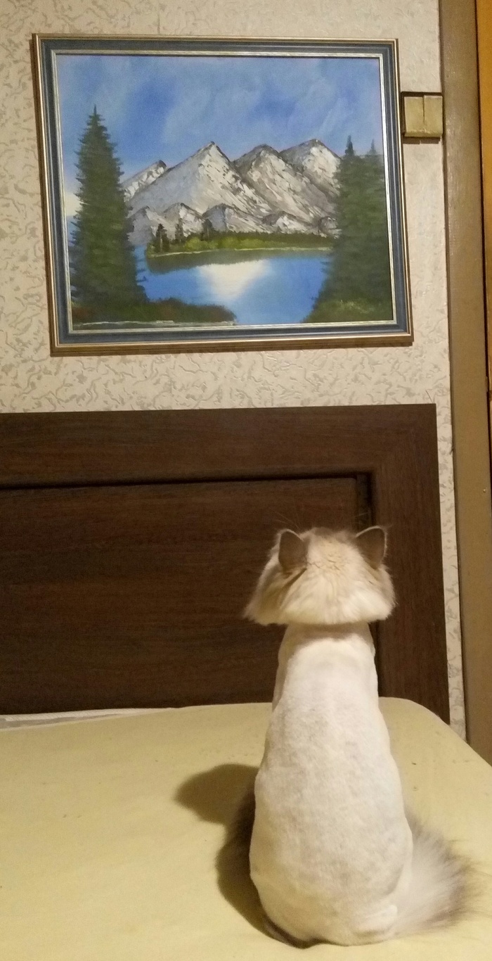 ��� - �������� ��������