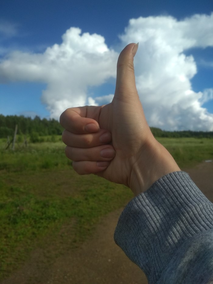 Fallout�������