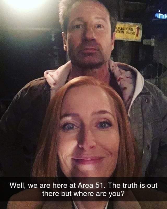 Agent Mulder and Scully join the assault on Area 51 - Secret materials, Zone 51, David Duchovny, Scully, Gillian Anderson, Celebrities, Dana Scully