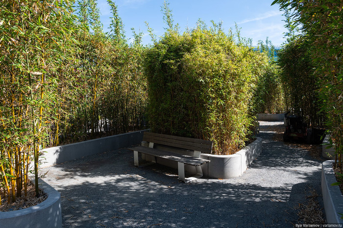 Самый крутой офис "Гугл": не работа, а курорт Google, Калифорния, Кремниевая Долина, Офис, США, Сан-Хосе, Длиннопост