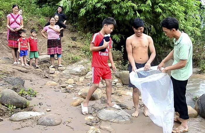 Road to Knowledge - School, River, Longpost