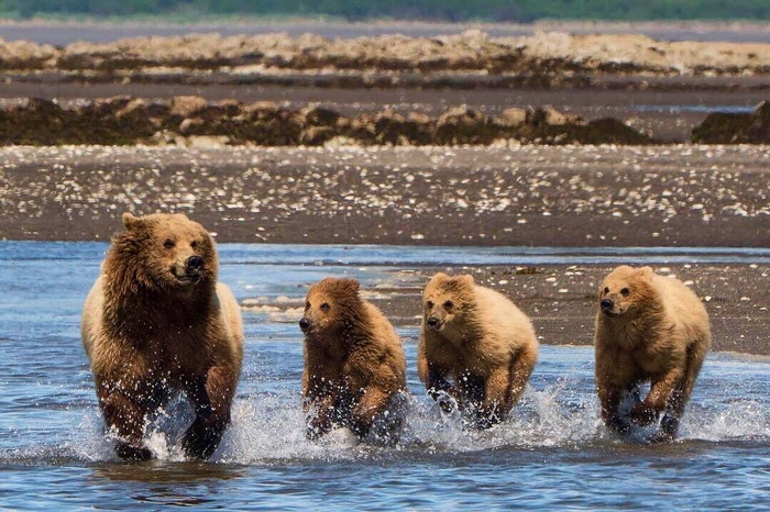 ������� ��������...