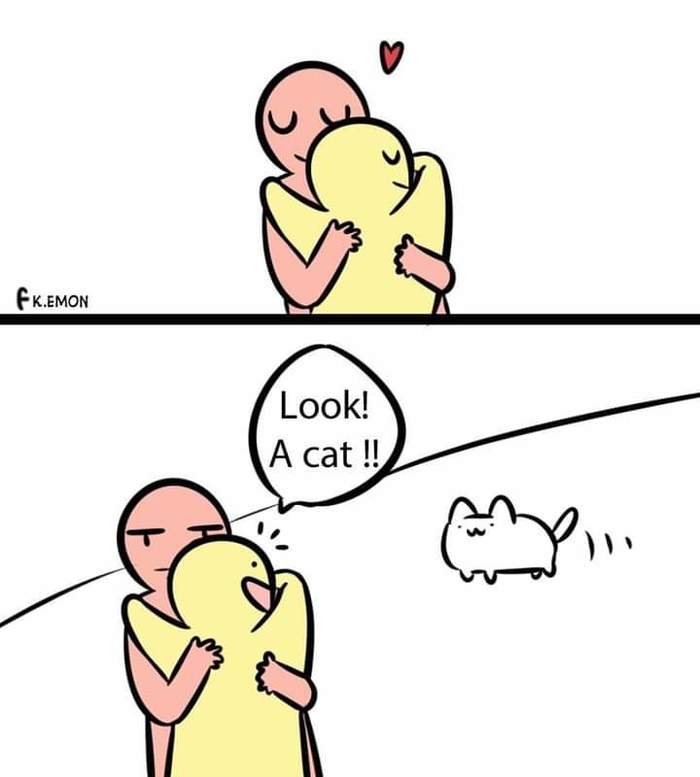 Приоритеты Кот, Приоритеты