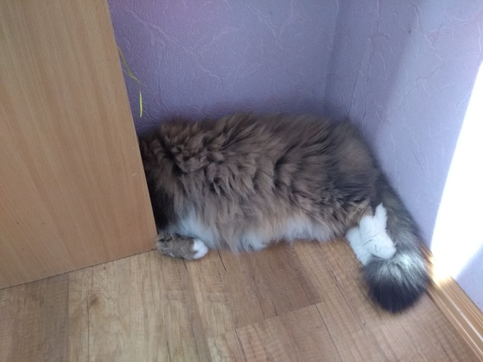 Похоже, у кого-то неудачный день