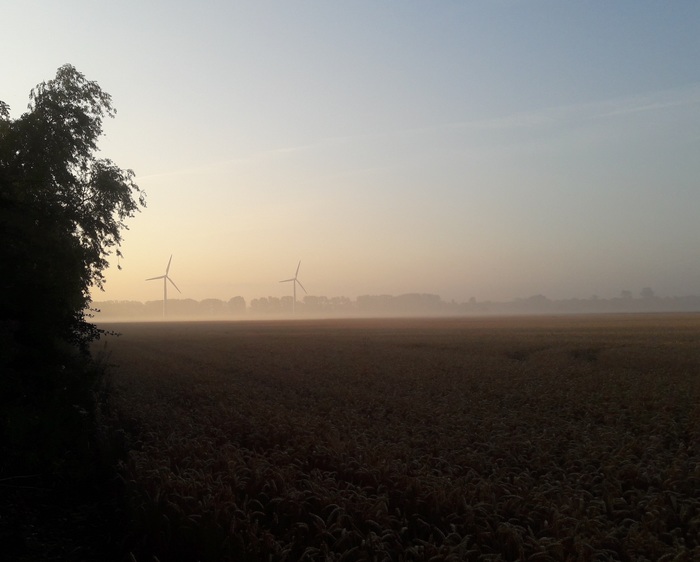 Good morning - My, Morning, Field, Windmill, Germany, Wind generator