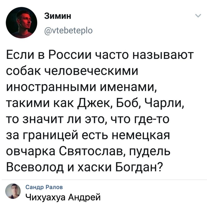 Чау-чау Володя - Скриншот, Кличка