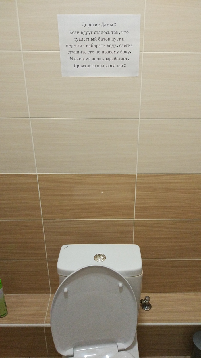 With a slight movement of the hand - lightly tap him on the right side) - My, Toilet humor, Strong and independent, , Power, Vital, For what?, I'm an engineer with my mother