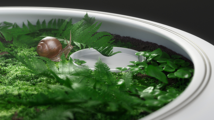 Snail Alcatraz - My, Tabula Sense, Snail, Terrarium, Concept, Design, Achatina, Grape snail, Industrial Design, Longpost