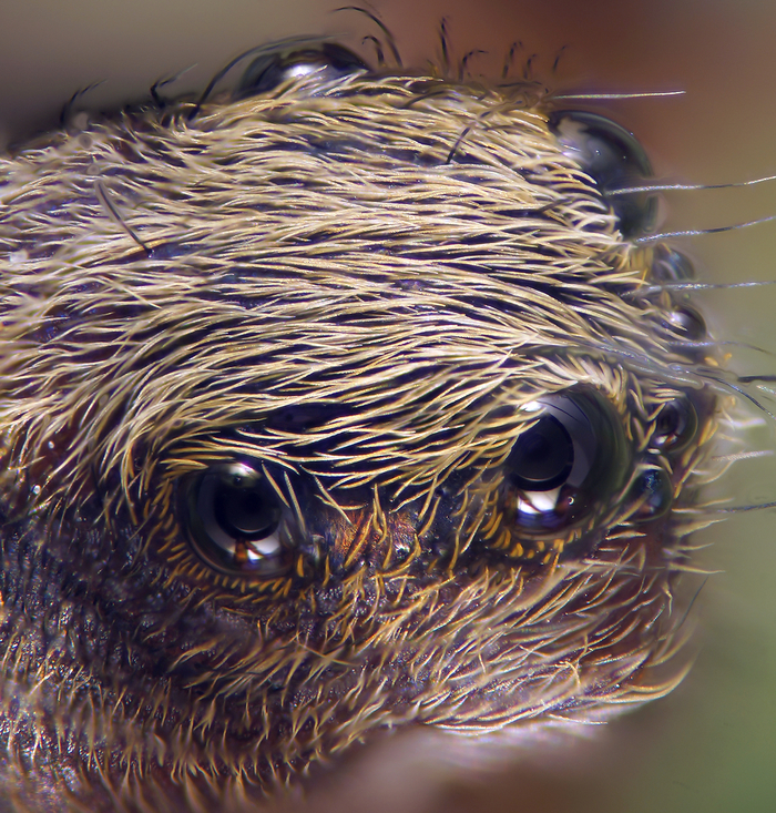 Зеркало души..