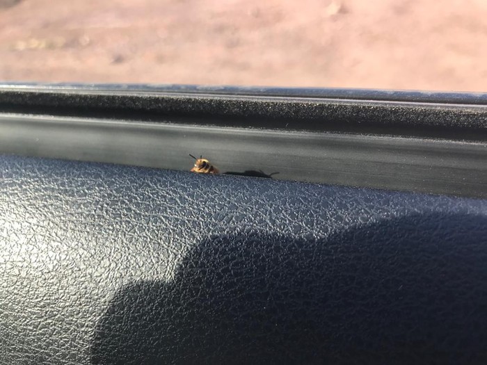 ���� ���� ��� ��� ������ �� ���� ����� 10