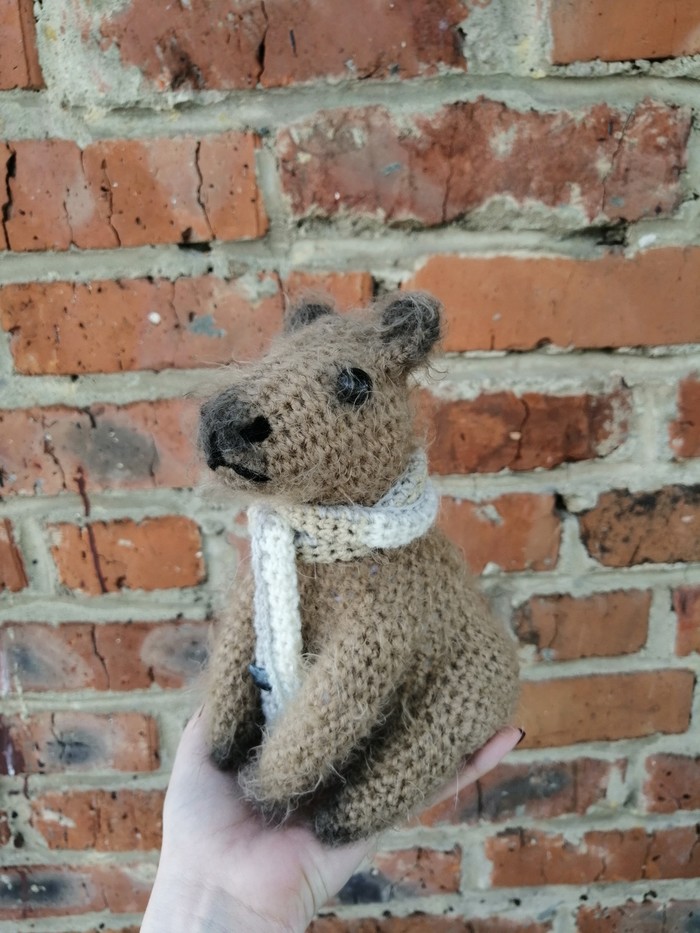 Capybara - My, Knitting, Knitted toys, Crochet, Capybara, Longpost