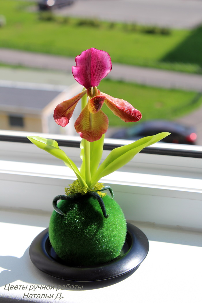 Paphiopedilum 2))) there is also 3)))) - My, Orchids, lady's slipper, Polymer clay, Лепка, Longpost, Needlework without process