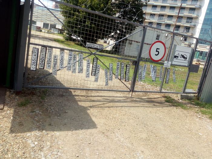 Госномера после дождичка в четверг