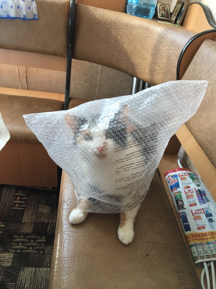 ����� ������ ����� �� ���������� ������