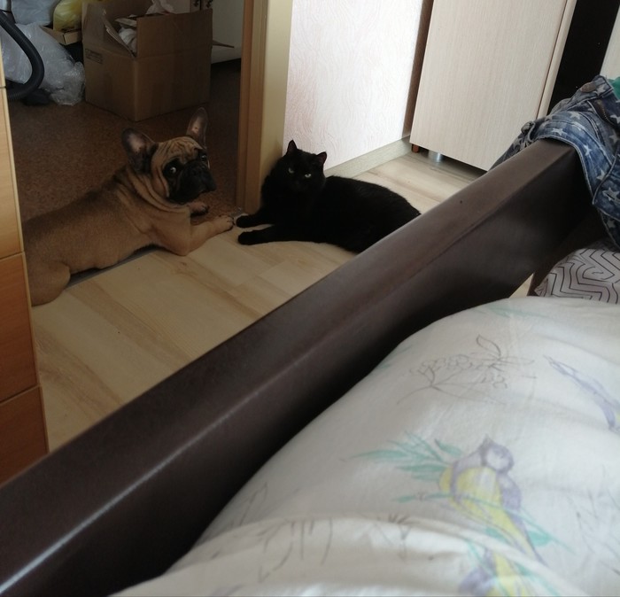 �� �� ���������?