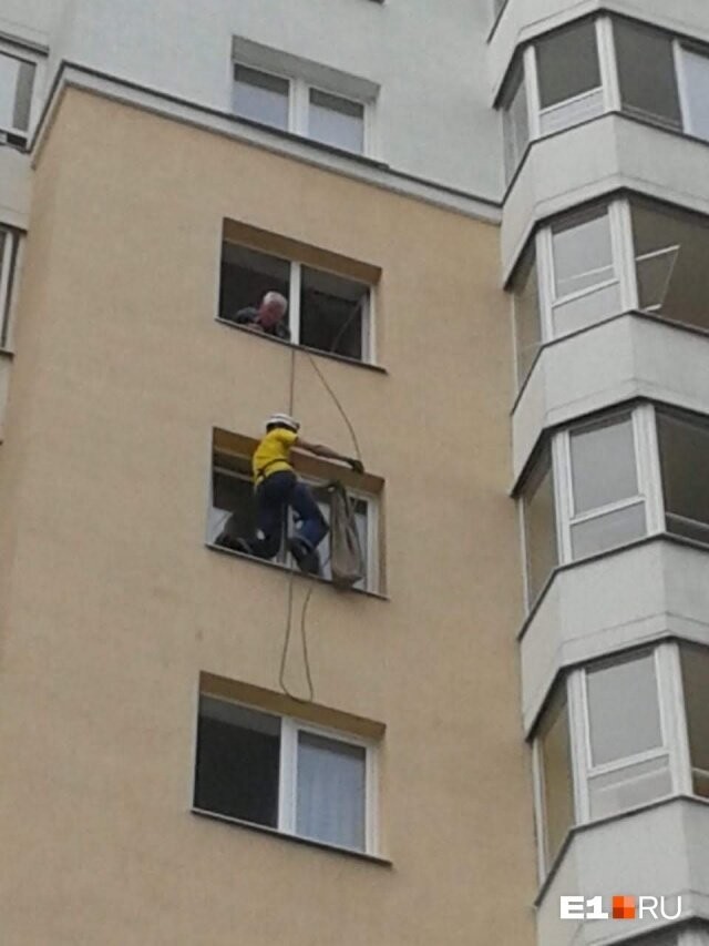 Yekaterinburger descended on a rope to the eighth floor and pulled out a kitten stuck in a window - Yekaterinburg, cat, Window, Stuck, The rescue, Video, Longpost