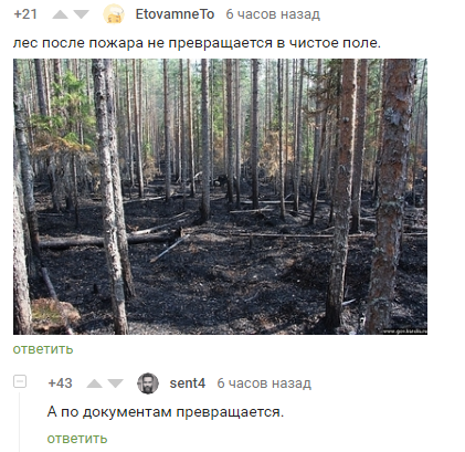 According to the documents - Forest, Fire, Screenshot, Comments on Peekaboo