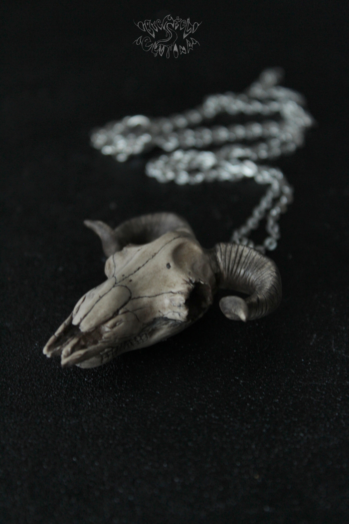 Sheep skull made of polymer clay - My, Polymer clay, , Scull, Needlework without process, Longpost