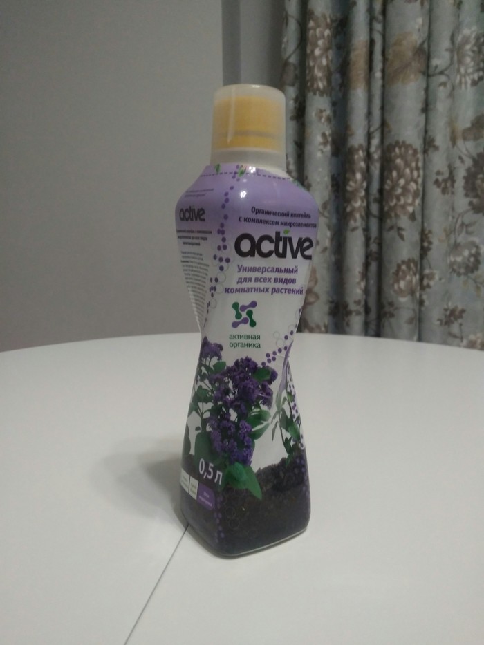 �������� � ����� ����