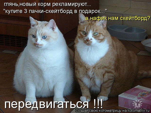 Котоматрица - Моё, Кот, Котоматрицы, Длиннопост, Творчество, Юмор, Немного поржать, Авторское