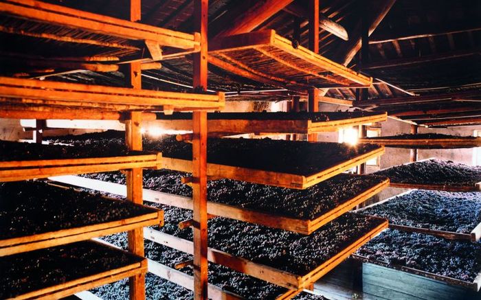 Про Амароне. | Пикабу