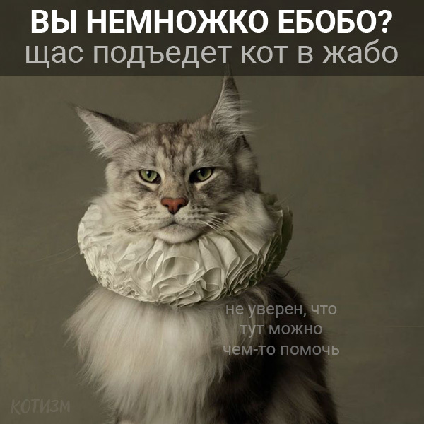 Нет безвыходных ситуаций. Есть коты. - Моё, Кот, Абсурдный юмор, Картинка с текстом, Длиннопост, Странный юмор