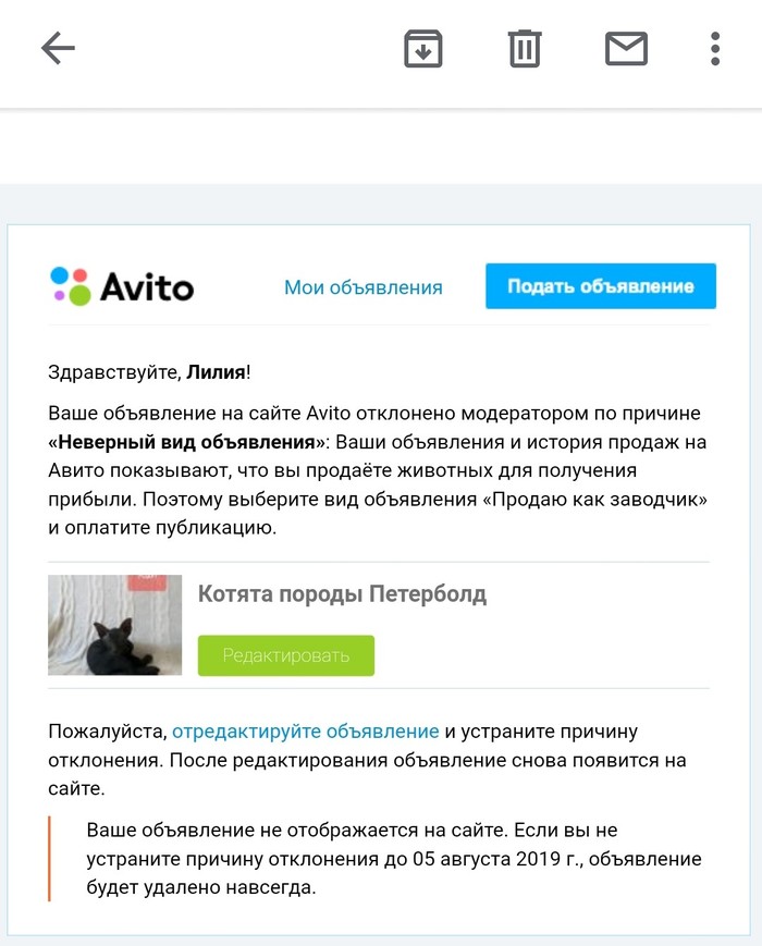 Наглость Авито - Моё, Авито, Объявление на авито, Котята, Породы кошек, Заводчики, Наглость, Интернет, Длиннопост