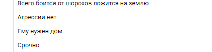 History is not for a nice Saturday night. - My, Dog, Help, Saint Petersburg, Kirovsky District, No rating, Cruelty, Video, Longpost, In contact with, Mat, Helping animals