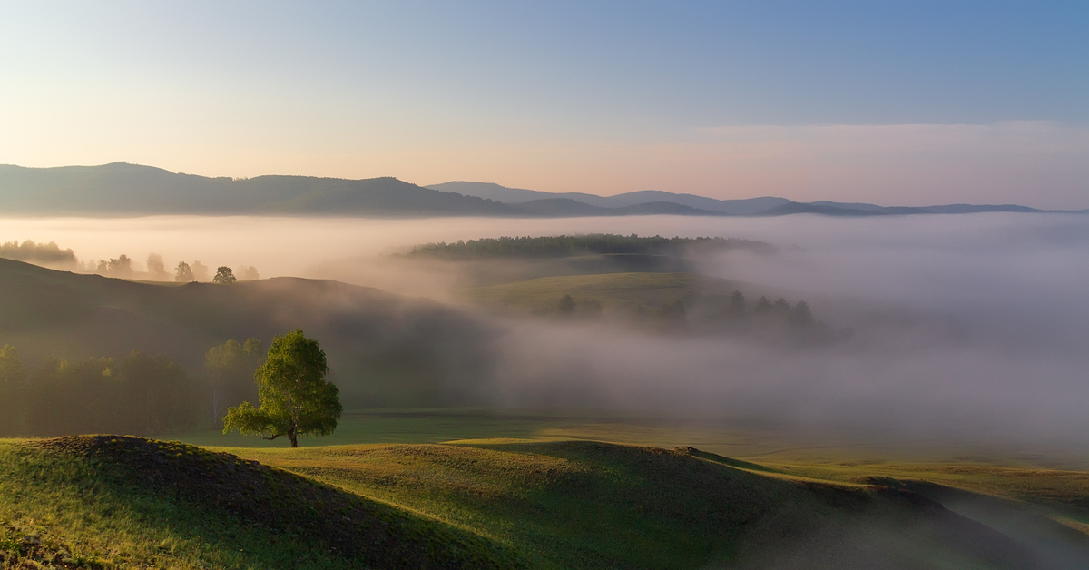 Country morning. Утренний туман. Туманный пейзаж. Утро туман. Равнина в тумане.