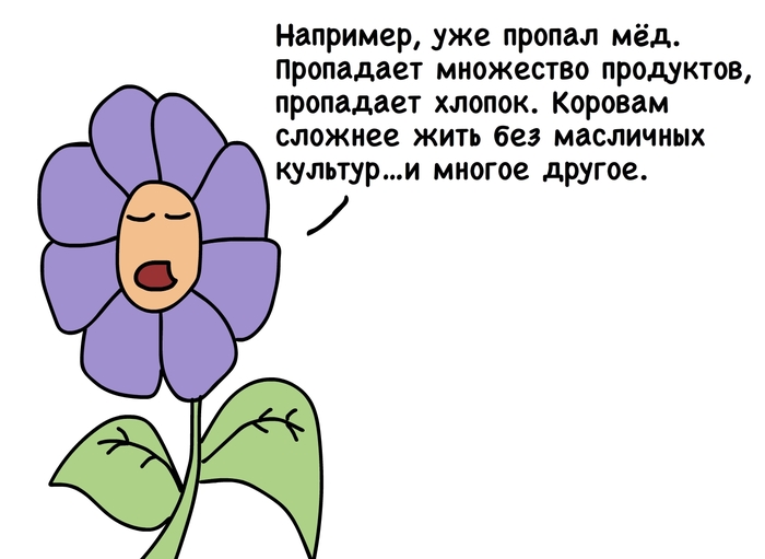 Что случилось с пчелами. Смотреть фото Что случилось с пчелами. Смотреть картинку Что случилось с пчелами. Картинка про Что случилось с пчелами. Фото Что случилось с пчелами
