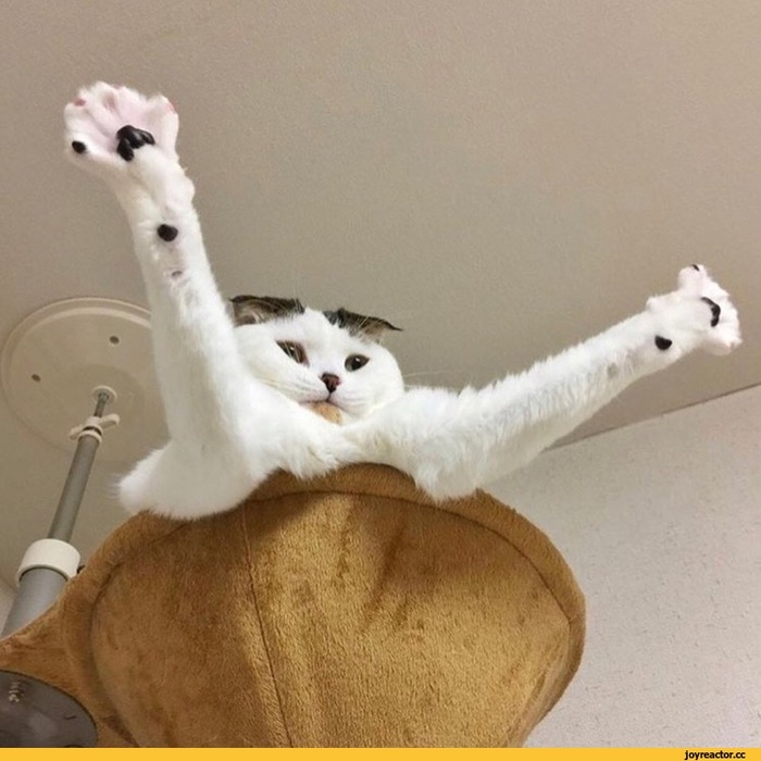   , 