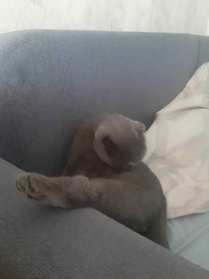 � ���� ����!