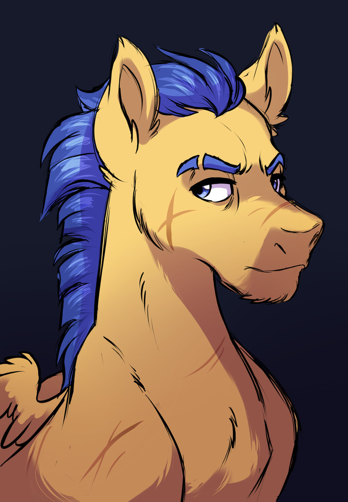 Sentry - My little pony, Flash Sentry, Portrait, Lopoddity