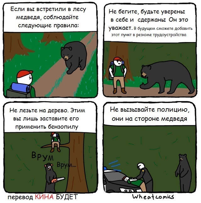 About bears... - Bear, Rules, Comics, Forest, The Bears