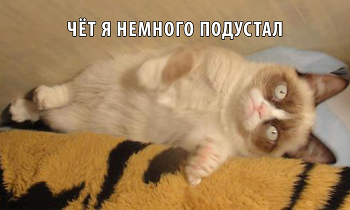   : -  .   15 IT, , , Javascript, -, Frontend, Web, 