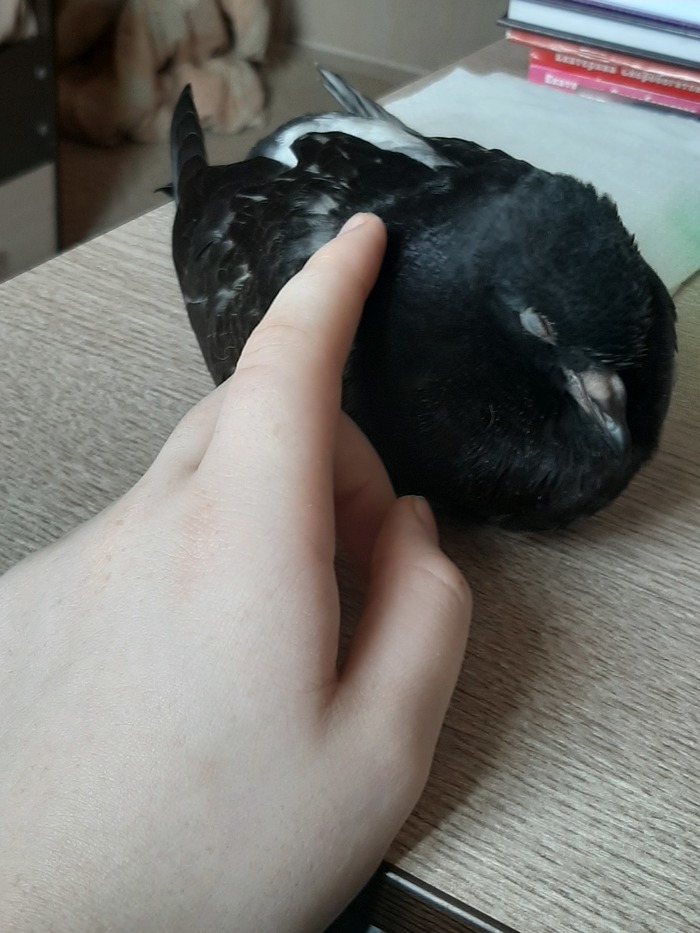   .   ,  , , , 