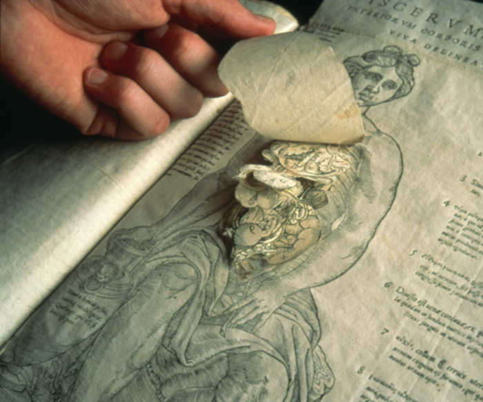 �� �������� ������������� ���� � 3D-������� �� �������� ��������, ���������� Andreas Vesalius � 1543 ����.