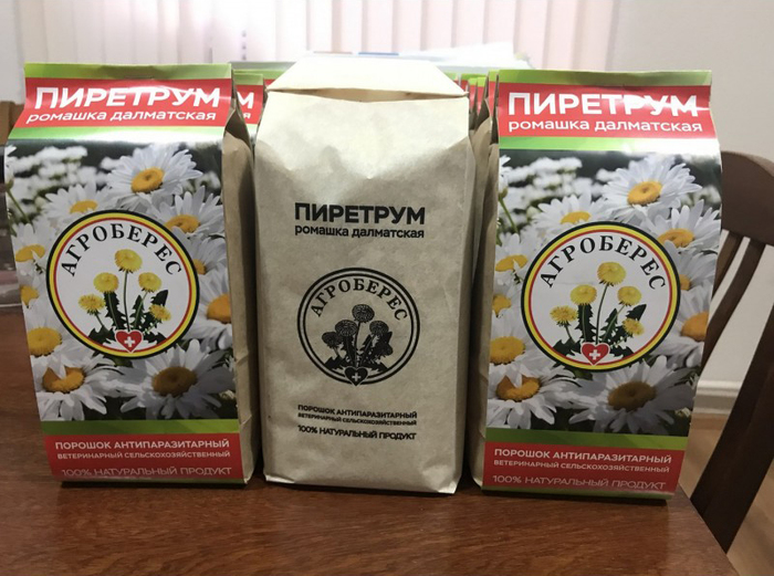 С чего начать изучение биологии. 1565004151129799464. С чего начать изучение биологии фото. С чего начать изучение биологии-1565004151129799464. картинка С чего начать изучение биологии. картинка 1565004151129799464. Биoлогия — наука о живой природе. Термин «биолoгия» был предложен в 1802 году Ж. Б. Ламарком и Г. Р. Тревиранусом независимо друг от друга.