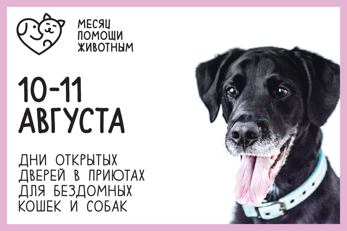 � ������� ����� �������, � ������� ��� ��� ���� 2