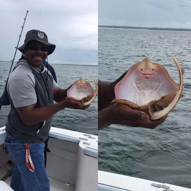 Merry stingray - Stingray, Fishing, Smile