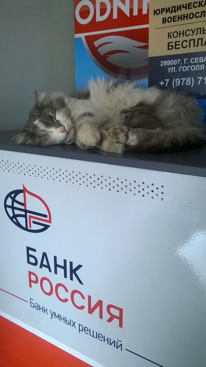  : ,      , , ,  
