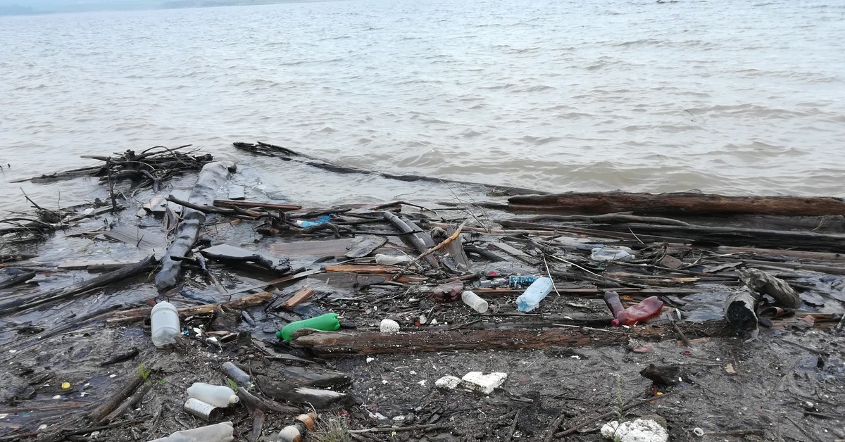 Братское водохранилище сегодня. Загрязнение Братского водохранилища. Грязное Братское водохранилище. Братское водохранилище мусор. Братское водохранилище экологические проблемы.
